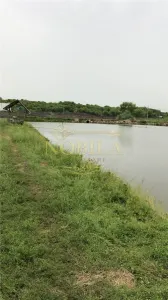 DOMENIU,13 HA TEREN(7,7 HA LUCIU DE APA,3 BALTI ,CABANE,PONTON,CAMPING RULOTE) - foto 23