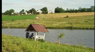 DOMENIU,13 HA TEREN(7,7 HA LUCIU DE APA,3 BALTI ,CABANE,PONTON,CAMPING RULOTE) - foto 6