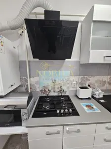 APARTAMENT CU 3 CAMERE DE VANZARE IN STATIUNEA MONTANA SLANIC MOLDOVA - foto 20