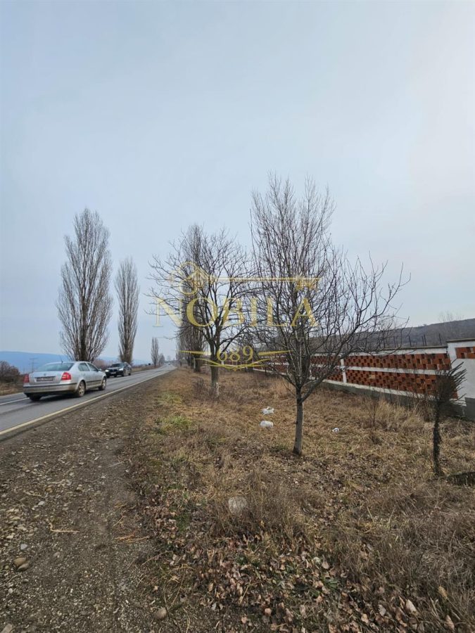 Teren Platou Premium, 57.662 mp, Deschidere Generoasă  400 ml la DJ Onești–Adjud - Popeni