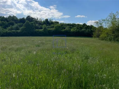 Teren de vanzare in Sibiu - ideal pentru cabane, 500 mp, Talmaciu - foto 6
