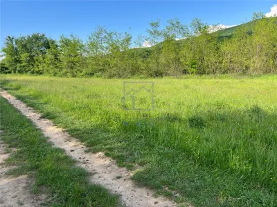 Teren de vanzare in Sibiu - ideal pentru cabane, 500 mp, Talmaciu - foto 7