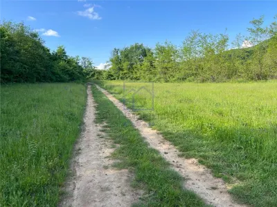 Teren de vanzare in Sibiu - ideal pentru cabane, 500 mp, Talmaciu - foto 8