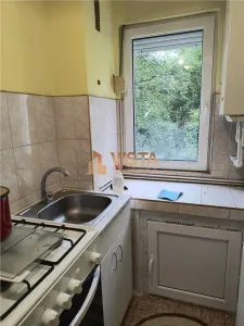 Apartament cu 2 camere  la parter, in Astra, Brasov - foto 13