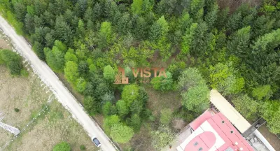 Teren 6500mp Dambu Morii - Bunloc, Brasov - foto 2