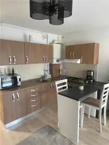Garsoniera de inchiriat in Sibiu - 30 mp, parter cu gradina, Calea Gusteritei - foto 3