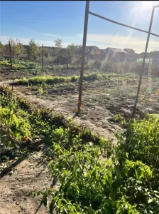 Casa individuala cu panouri solare si centrala pe gaz Parta - foto 18