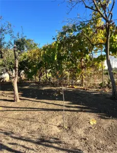 Casa individuala cu panouri solare si centrala pe gaz Parta - foto 19