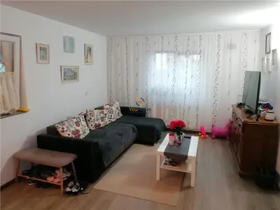 Vila Individuala Sinmihaiul Roman - foto 15