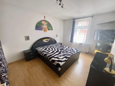 Casa de vanzare in Sibiu - Individuala cu 2 apartamente, cu pivnita, Turnisor, se accepta schimb cu apartament - foto 23