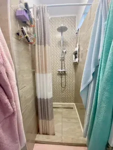 Casa de vanzare in Sibiu - Individuala cu 2 apartamente, cu pivnita, Turnisor, se accepta schimb cu apartament - foto 9