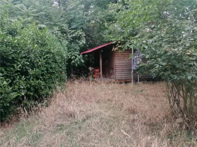 Pensiune Azil Spatiu Comercial Calea Girocului - foto 7