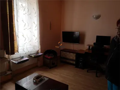 Casa Sanandrei Ideal Afacere - foto 1