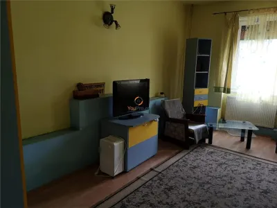 Casa Sanandrei Ideal Afacere - foto 5