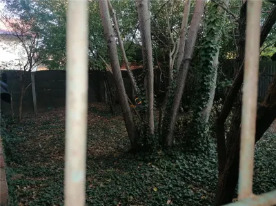 Casa Individuala zona Dambovita peste 450 Mp Teren - foto 16