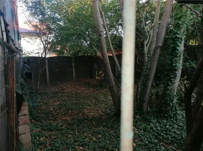 Casa Individuala zona Dambovita peste 450 Mp Teren - foto 3