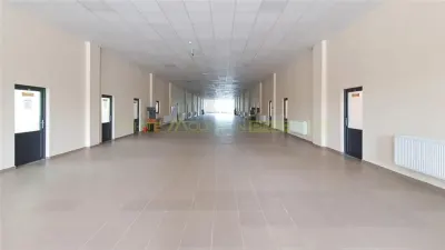 Spatii de birouri, 1500 mp, inchiriere lunga durata, Vaslui - foto 2