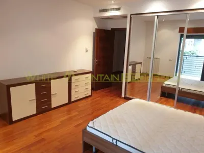 Apartament 3 camere, inchiriere lunga durata in Bucuresti, Herastrau - foto 8