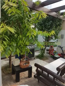 Vila de lux, in cartier exclusivist, inchiriere termen lung, pretabil rezidenta sau firma, Otopeni - foto 6