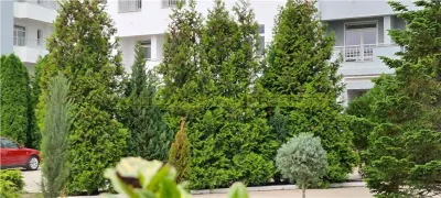 NOU! Apartament 2 camere, de vanzare,  Buftea - foto 7