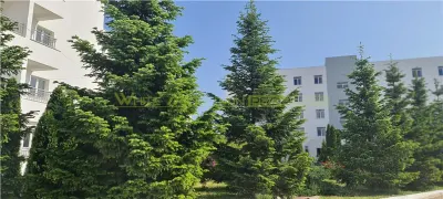 NOU! Apartament 3 camere, de vanzare, Buftea - Buftea