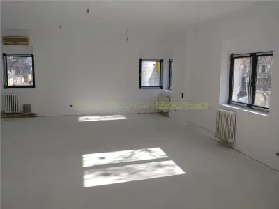 Spatiu comercial 200-350 mp,  inchiriere, zona Eminescu - foto 10