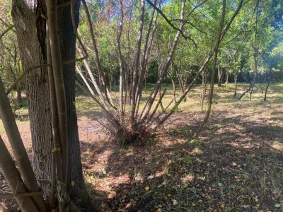 Teren 2600 mp de vanzare, Campina, jud Prahova - foto 13