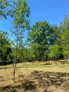 Teren 2600 mp de vanzare, Campina, jud Prahova - foto 4