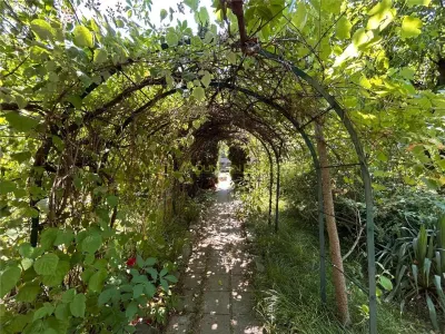 Casa versatila, cu potential real de investitie Sacele - foto 18