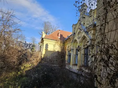 Castel Zichy de vanzare in Oradea, Bihor - foto 8
