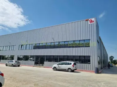 Spatiu depozitare productie, inchiriere lunga durata, Buftea - foto 4