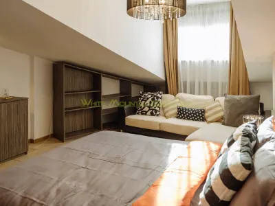 Penthouse 2 camere, inchiriere lunga durata, Herastrau - foto 5
