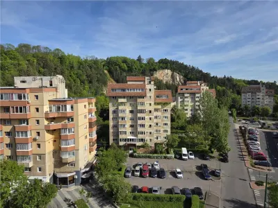 Apartament spatios cu 2 camere Parcul Trandafirilor Racadau - foto 17