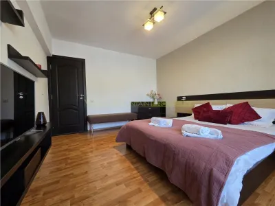 Apartament spatios cu 2 camere Parcul Trandafirilor Racadau - foto 20