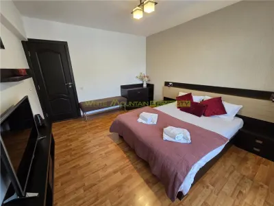 Apartament spatios cu 2 camere Parcul Trandafirilor Racadau - foto 21