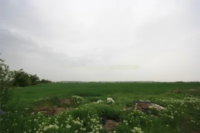 Teren 12500 mp, de vanzare, Tunari, negociabil - foto 1