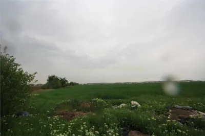 Teren 12500 mp, de vanzare, Tunari, negociabil - foto 2