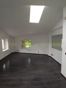 Spatiu comercial 300 mp, inchiriere/vanzare, Eminescu - foto 13