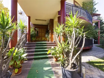 Vila 14 camere, piscina exterioara, Bragadiru, oportunitate extindere - foto 5