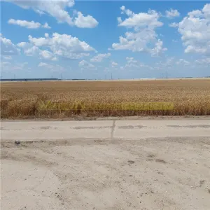 Teren 88000 mp de vanzare, Glina - foto 4