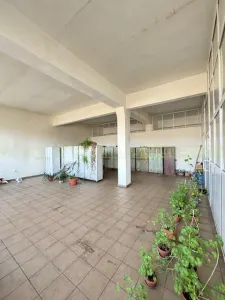 Vaslui aproape de Iasi, hale si birouri de vanzare - foto 24