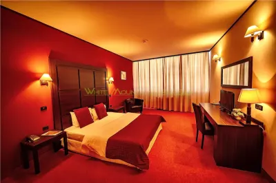Timisoara, OPORTUNITATE INVESTITIE, hotel, clinica sau azil, 41 camere - foto 3