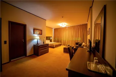 Timisoara, OPORTUNITATE INVESTITIE, hotel, clinica sau azil, 41 camere - foto 4