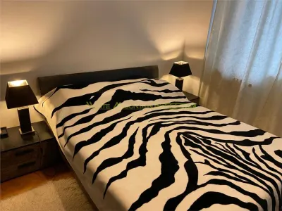 Apartament 2 camere central, inchiriere termen lung, Stefan cel Mare - Obor - foto 3