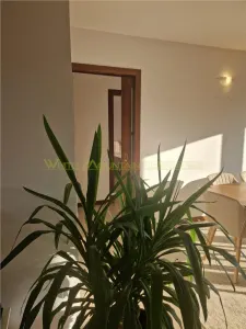 Cluj Napoca, apartament 3 camere, nemobilat - foto 11