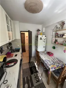 Apartament 2 camere de închiriat, Costin Georgian - foto 6