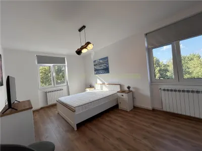 Apartament 2 camere luminos, chic | Judetean | Calea Bucuresti - foto 13