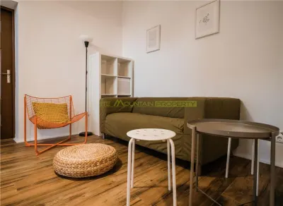 Inchiriere termen scurt/mediu Piata Unirii - foto 4