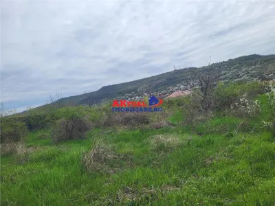 Vanzare teren 35.000mp Stefanesti -Arges-Comision 0% - foto 4