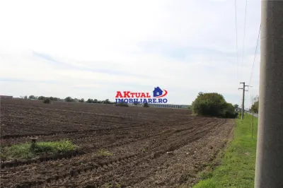 Teren de vanzare Balotesti -16.300mp-Stradal -Residentiale sau Comercial-cu toate utilitatile la strada - foto 3